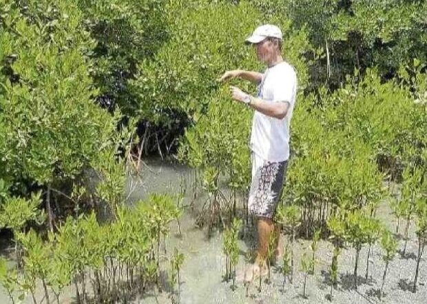 100.000 mangrovestekken  Ryan de Jongh groeien door