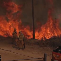 Video | Vuurzee bedreigt Argentijnse dorpen: inwoners helpen brandweer