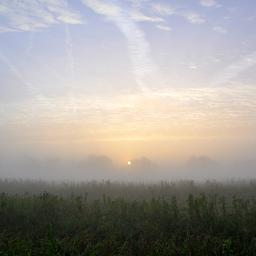 Weerbericht: In de ochtend lokaal dikke mist, later op de dag zon