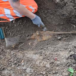 Stoffelijke resten Britse soldaat uit Tweede Wereldoorlog gevonden in Bemmel