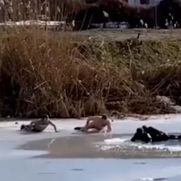 Video | Mannen schuiven over het ijs om tieners uit wak te redden in Rusland