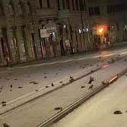 Video | Straat in Rome bezaaid met dode vogels na afsteken vuurwerk