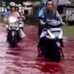 Video | Bloedrood water stroomt door Indonesisch dorpje na overstroming