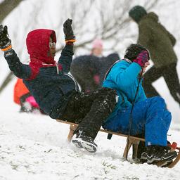 In beeld | In beeld: Winterse neerslag zorgt voor sneeuwpret in Nederland