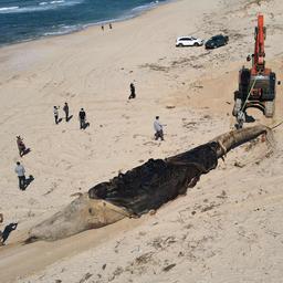 Teer aangespoeld op Israëlische stranden, autoriteiten spreken van grote ramp