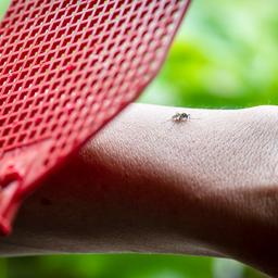 Wageningen University krijgt zesduizend dode muggen en stopt met oproep