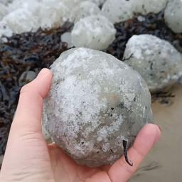 Video | Honderden ijsballen aangespoeld op strand in Letland