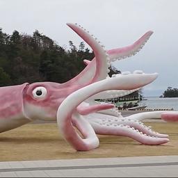 Japans vissersdorp geeft 2 ton coronasteun uit aan standbeeld van inktvis
