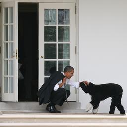 Obama’s verdrietig om verlies van ‘echte vriend en loyale metgezel’ hond Bo