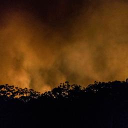 Sydney gehuld in gevaarlijke rook door gecontroleerde bosbrand