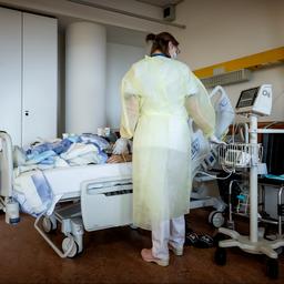 Aantal coronapatiënten in ziekenhuizen boven de vijfhonderd