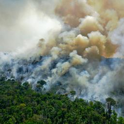 Amazoneregenwoud stoot inmiddels meer CO2 uit dan het absorbeert