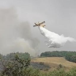 Bosbranden op Sardinië onder controle, schade in honderden miljoenen