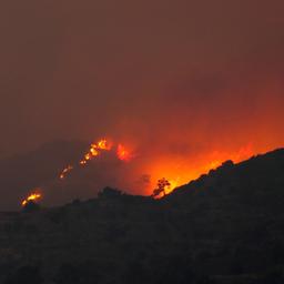 Cyprus vraagt om internationale hulp bij blussen enorme bosbrand
