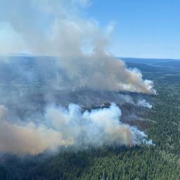 Hitte blijft Canada en VS teisteren: meer dan 400.000 hectare al in brand