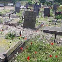 Meer dan honderd graven vernield op begraafplaats ‘s-Gravenzande