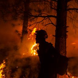 Noodtoestand in westen van Canada vanwege uitbreidende bosbranden