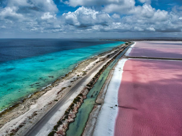 Toeristen Bonaire kunnen beloven verantwoord te reizen