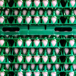 Twintigers aangehouden voor bekogelen van minstens 65 huizen met eieren