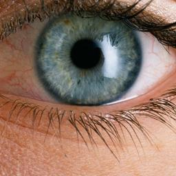 Deel oogpatiënten kan niet geholpen worden door tekort cruciaal oogmiddel
