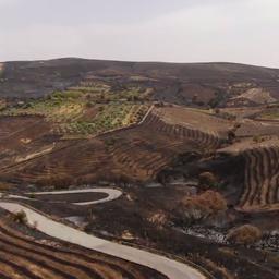 Video | Drone filmt door natuurbrand verwoest landschap op Sicilië