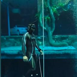 Video | Eerste freediver verkent zwembad van 60 meter diep in Dubai