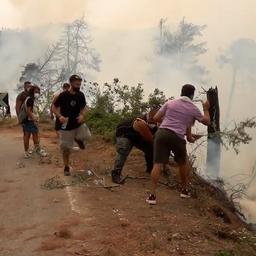 Video | Grieken helpen brandweer bij bestrijden bosbranden op Evia