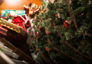 Importeurs voorspellen schaarste kerstbomen