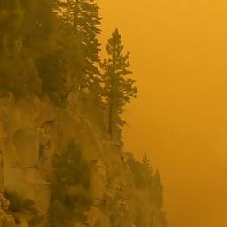 Video | Automobilist rijdt door in rook gehulde snelweg bij bosbrand in VS