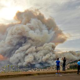 Elk jaar dertigduizend doden door luchtvervuiling na bosbranden
