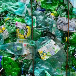 Statiegeld op petflesjes lijkt succes: minder plastic op World Cleanup Day