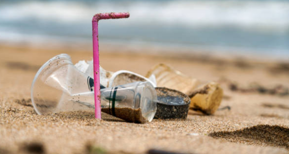 Bonaire doet wegwerpplastic in de ban