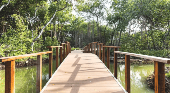 Werkzaamheden mangrovepark bijna afgerond