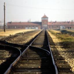 Auschwitz doet aangifte na ontdekken antisemitische leuzen op barakken