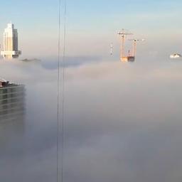 Video | Dikke mist bedekt skyline van Rotterdam