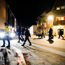 Doden door aanvallen met pijl-en-boog in Noorwegen, verdachte aangehouden