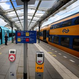 Treinverkeer naar Groningen weer volgens dienstregeling na vondst bevergang