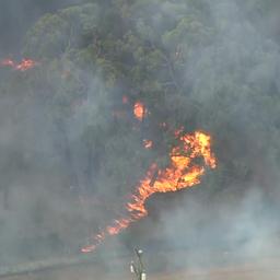 Video | Brandweerlieden in Australië proberen bosbrand te doven