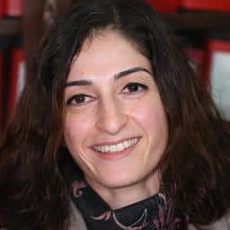 Turkse rechter spreekt Duitse journaliste Mesale Tolu vrij van terrorisme