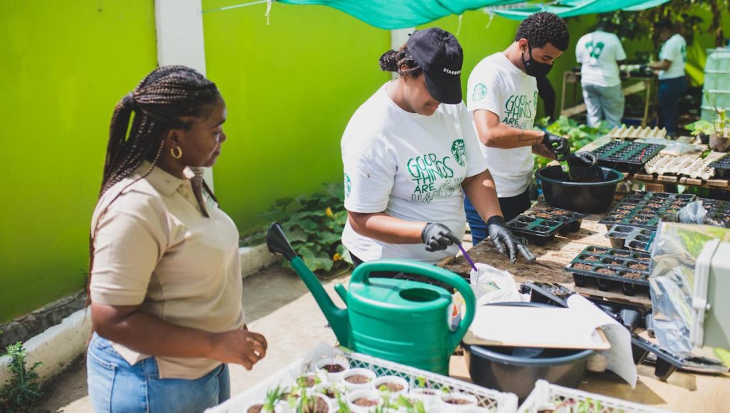 Starbucks start met project ‘Grounds for your garden’