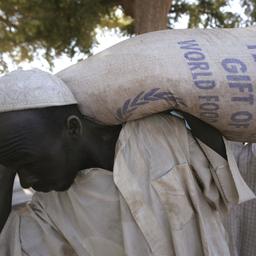 Tsjaad roept noodtoestand uit om gebrek aan tarwe door oorlog in Oekraïne