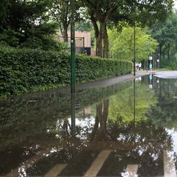 Wateroverlast in Noord-Brabant en Limburg door hevige regenval