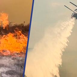 Video | 1.200 brandweerlieden bestrijden snel verspreidende bosbrand Californië