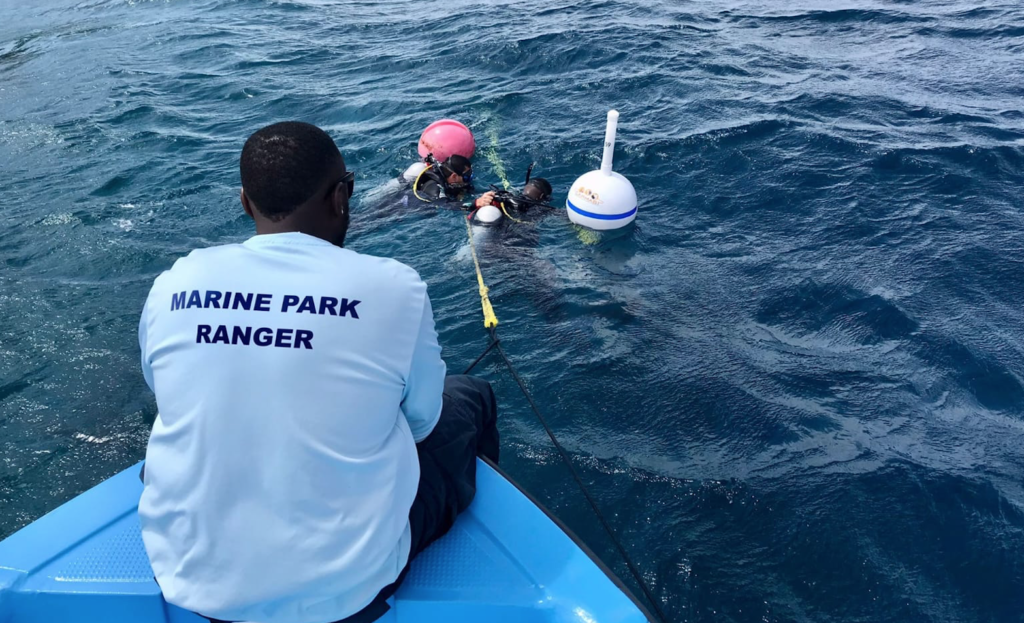 Carmabi plaatst eerste boeien in Curaçao Marine Park