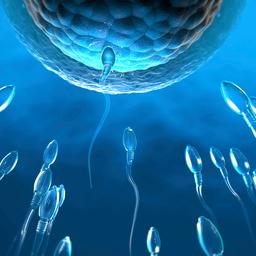 Brabantse gynaecoloog verwekte drie kinderen met eigen sperma
