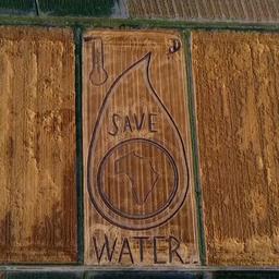 Video | Italiaanse kunstenaar maakt enorm werk in veld: ‘Bespaar water’