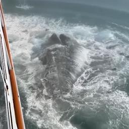 Video | Reiziger filmt hoe cruiseschip ijsberg raakt bij Alaska