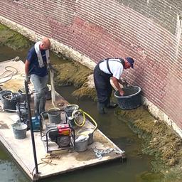 Video | Bouwvakkers voegen historische muur in Zwolle onder de watergrens