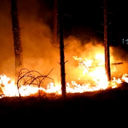 Video | Brandweer blust natuurbrand in Brabantse Best
