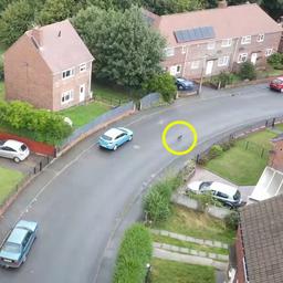 Video | Britse baasjes herenigd met weggelopen hond dankzij drone